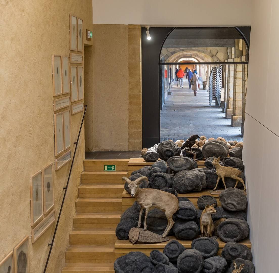 Musée de l’Ardenne : histoire et trésors des Ardennes – sortie enfant à Charleville-Mézières