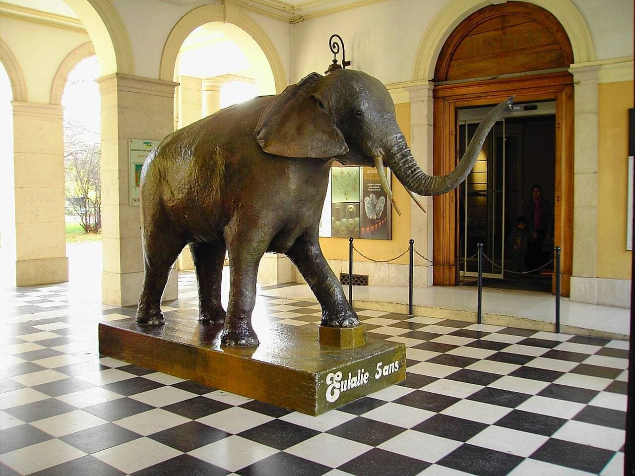 Muséum d'histoire naturelle de Grenoble : animaux, fossiles et serres botaniques – sortie enfant à Grenoble