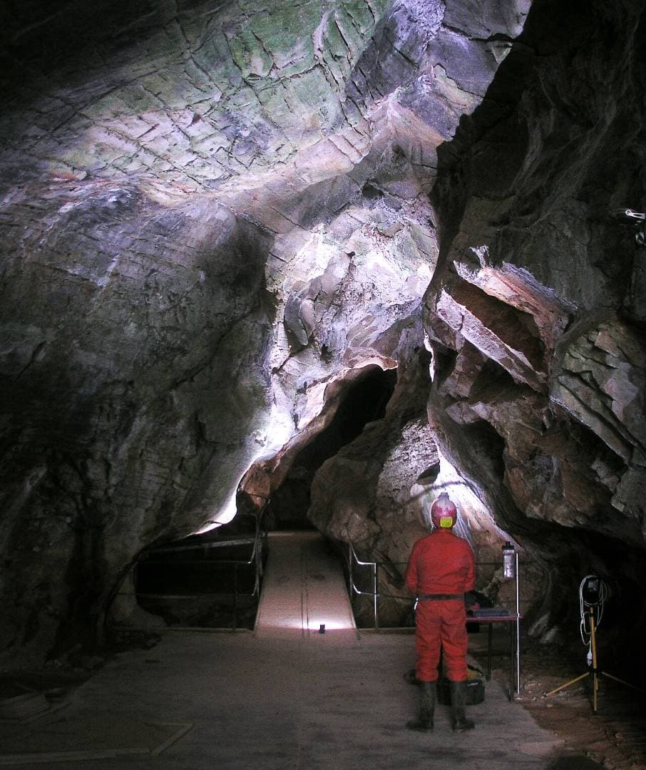 Grottes d'Azé : visite guidée entre rivière souterraine et préhistoire à Azé - Musées & visites