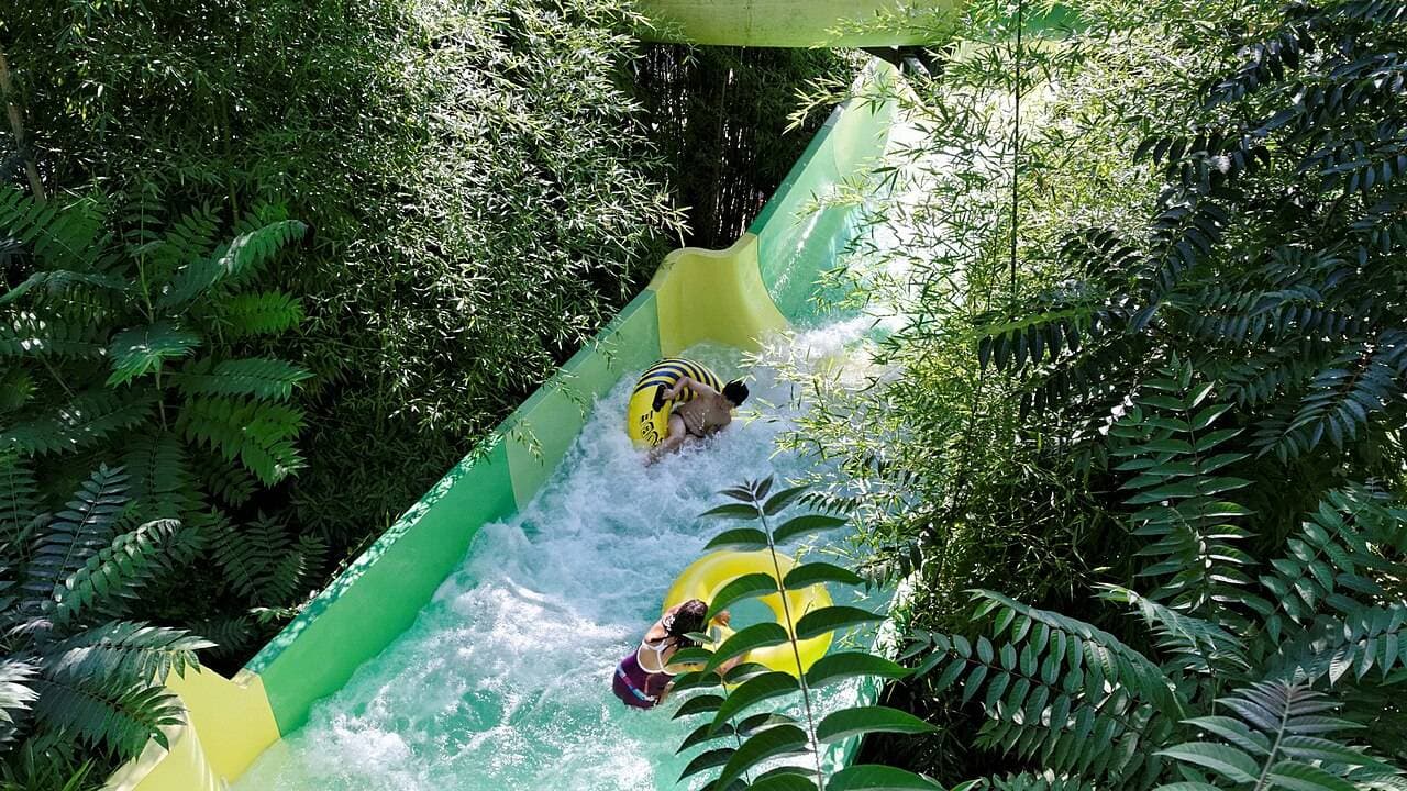 Touroparc Zoo : zoo, attractions et parc aquatique à Romanèche-Thorins - Fermes, zoos & cueillettes