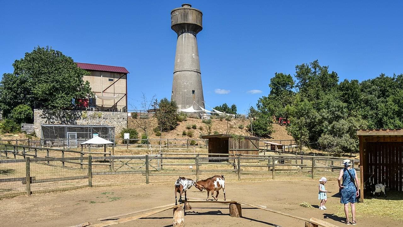 Parc Animalier des Gorges de l'Ardèche : animaux, poney et Aquapark à Vagnas - Loisirs & activités éducatives