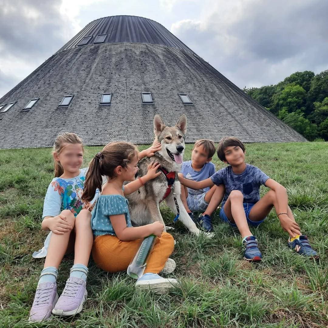 La Pyramide du Loup : écomusée nature et parcours sensoriels à Toucy - Musées & visites