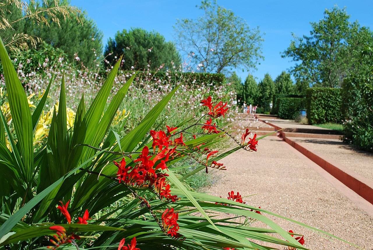 Les Jardins de Colette : jardins thématiques, labyrinthe géant et jeux XXL – sortie enfant à Varetz