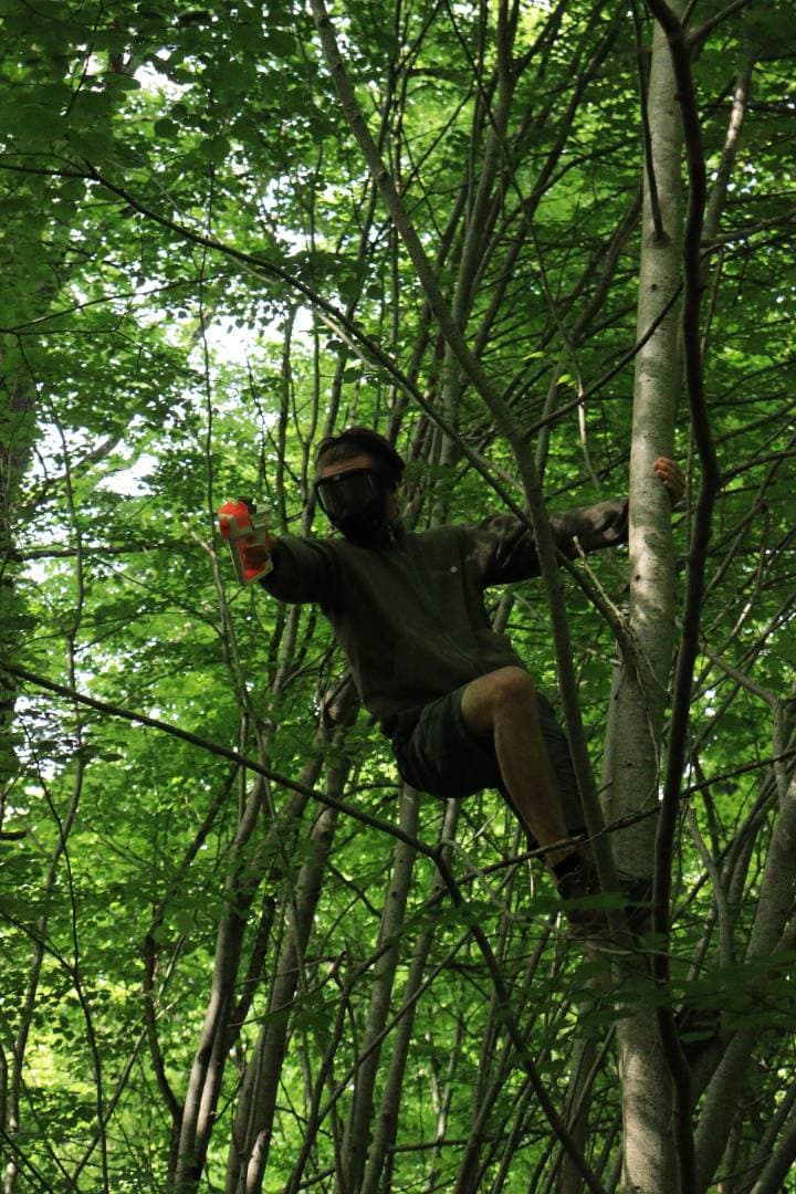 Les Z'Accrochés : accrobranche et tyroliennes en forêt à Sauvigny-Les-Bois - Loisirs & activités éducatives