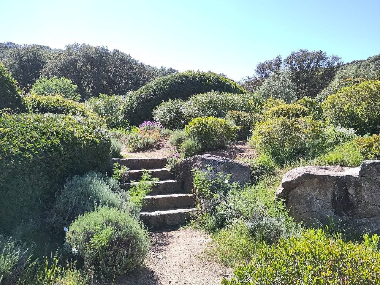 Parc de Saleccia : jardin botanique – sortie enfant à L'île-Rousse