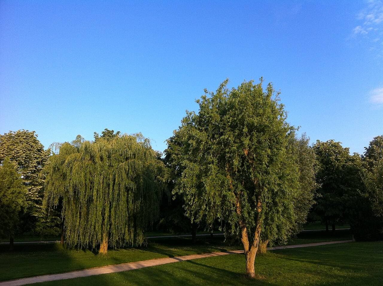 Parc du Couloumé : arboretum et jeux en famille