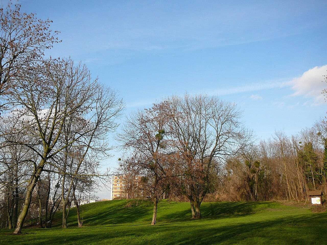 Parc des Beaumonts : balade en pleine nature à Montreuil - Parcs & jardins