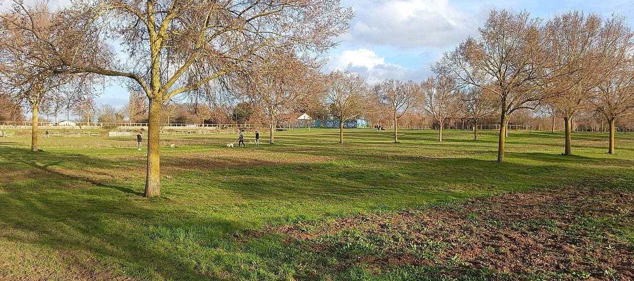 Parc départemental des Lilas : parc nature et aires de jeux – sortie enfant à Vitry-Sur-Seine