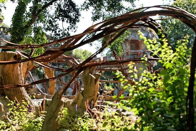 Jardin botanique du Sarrat : jardin remarquable et collections végétales