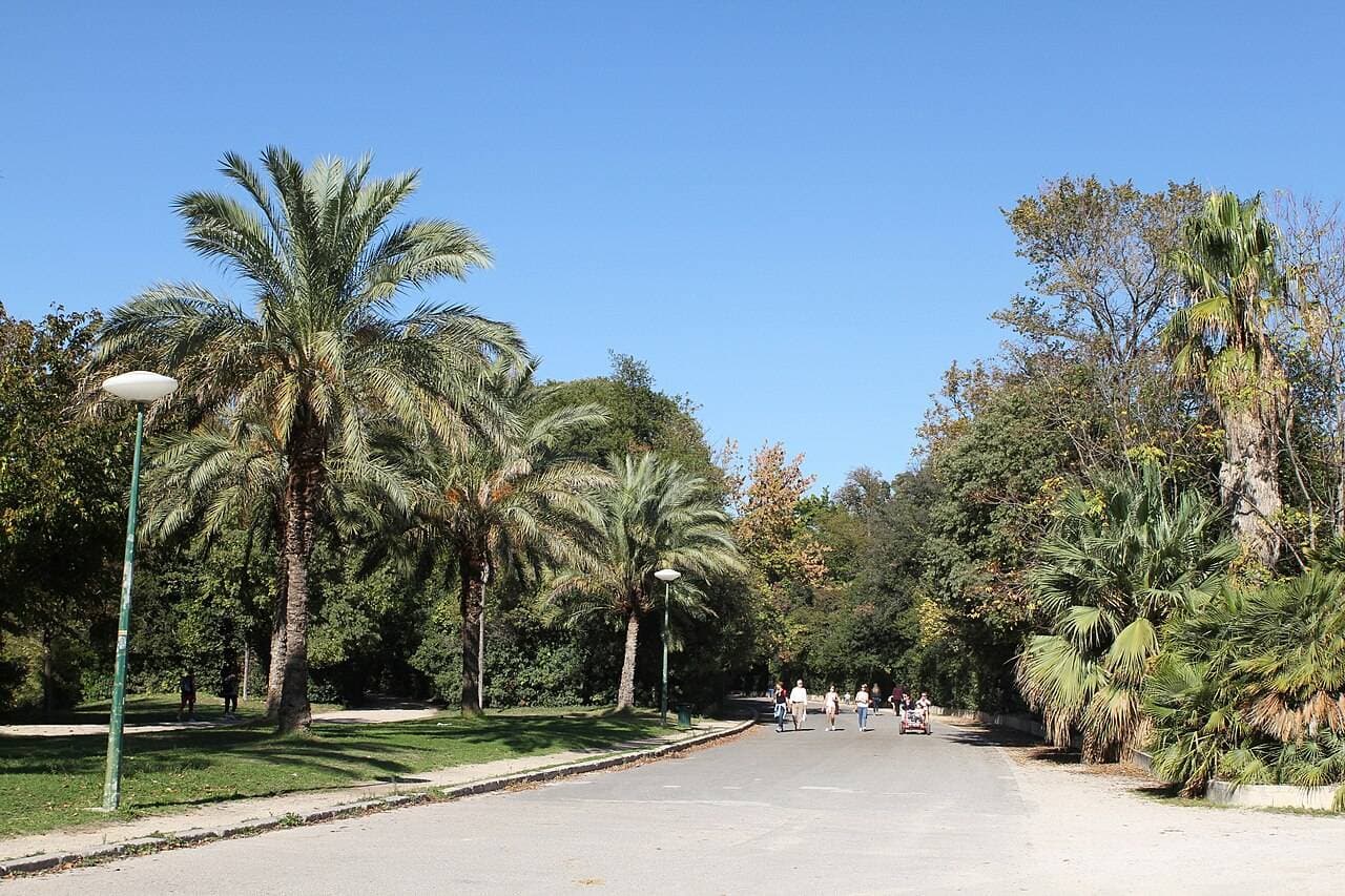 🌳 Les meilleurs parcs pour enfants à Marseille : notre sélection de 8 parcs