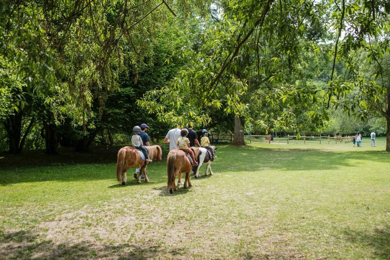 Malowe Nature : ferme, poneys et jeux en plein air